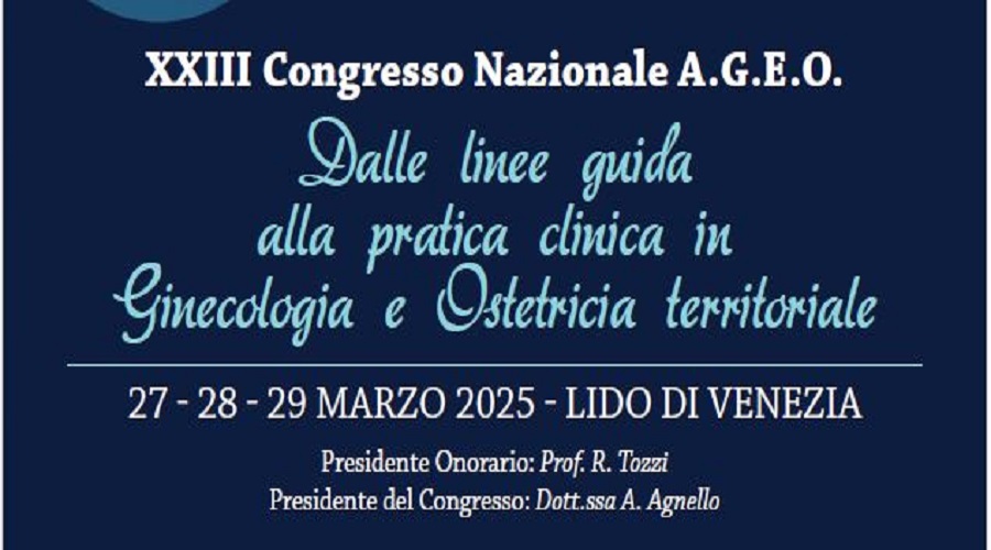 Clicca per accedere all'articolo XXIII Congresso Nazionale A.G.E.O.: Dalle linee guida alla pratica clinica in Ginecologia e Ostetricia territoriale