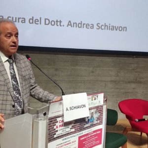 convegno17vis24